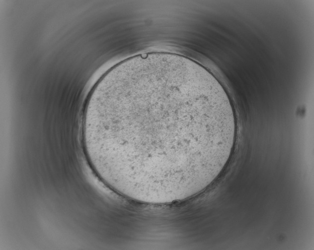 X0000112780955200909171333