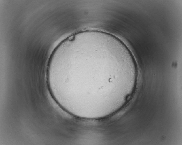 X0000112780957200909171333