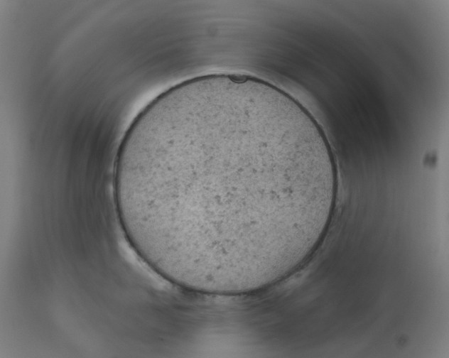 X0000112780958200909171333