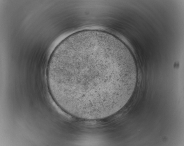 X0000112780959200909171333