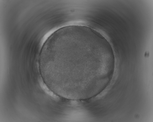 X0000112780960200909171333