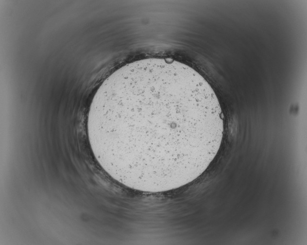 X0000112780964200909171332