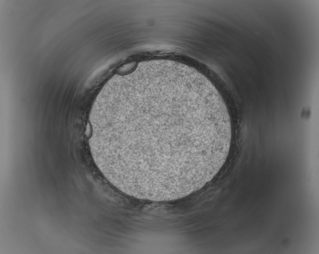 X0000112780967200909171332