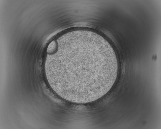 X0000112780971200909171332