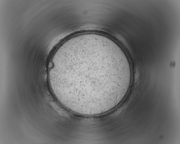 X0000112780973200909171332