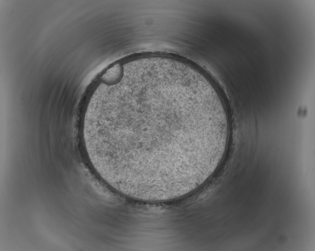 X0000112780975200909171332