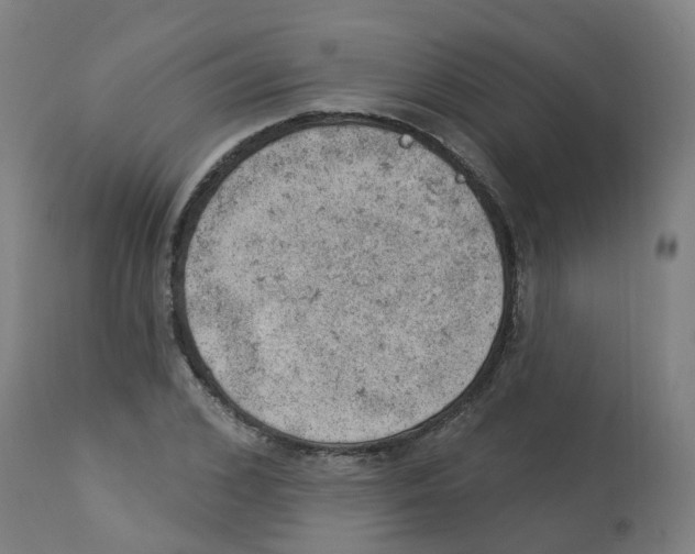 X0000112780976200909171332