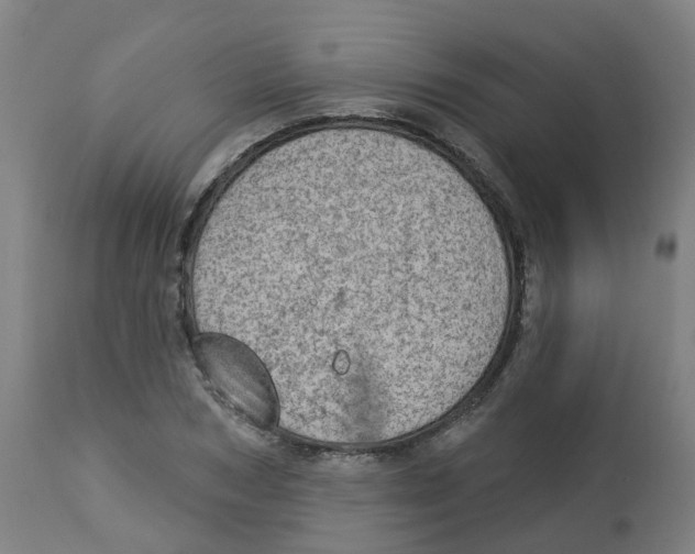 X0000112780978200909171332