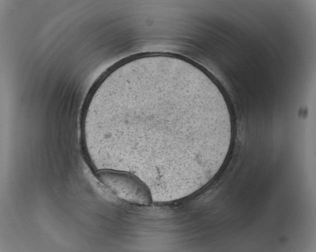 X0000112780980200909171332