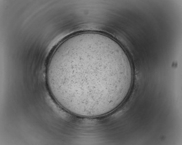 X0000112780981200909171332