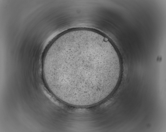 X0000112780982200909171332