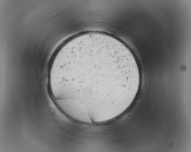 X0000112780984200909171332