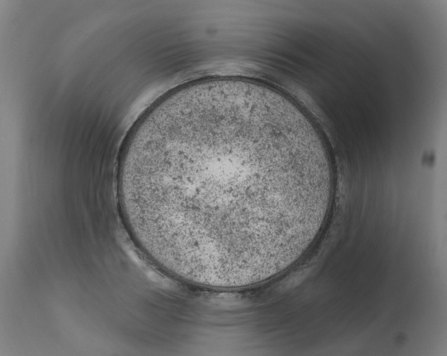 X0000112780986200909171332