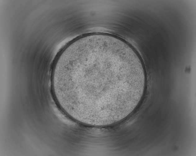 X0000112780987200909171332