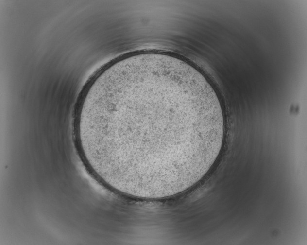 X0000112780991200909171332