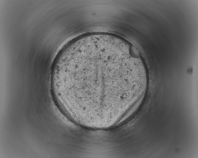 X0000112780992200909171332