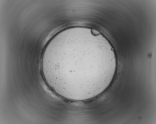 X0000112780994200909171332