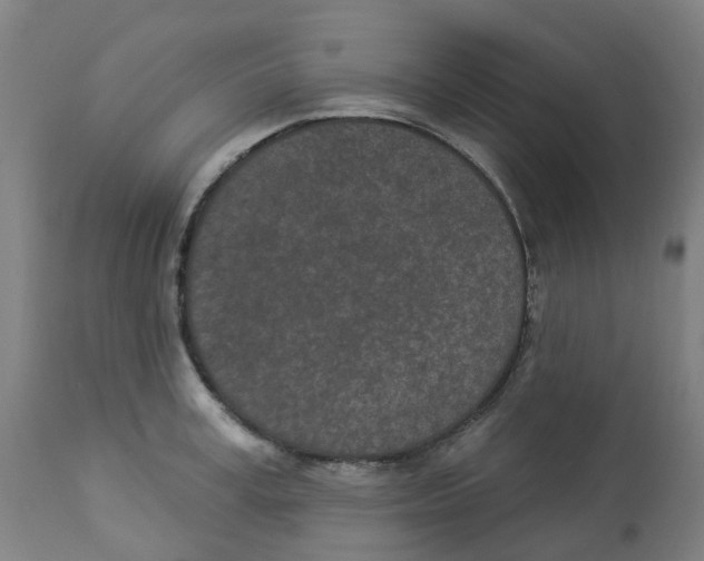 X0000112780995200909171332