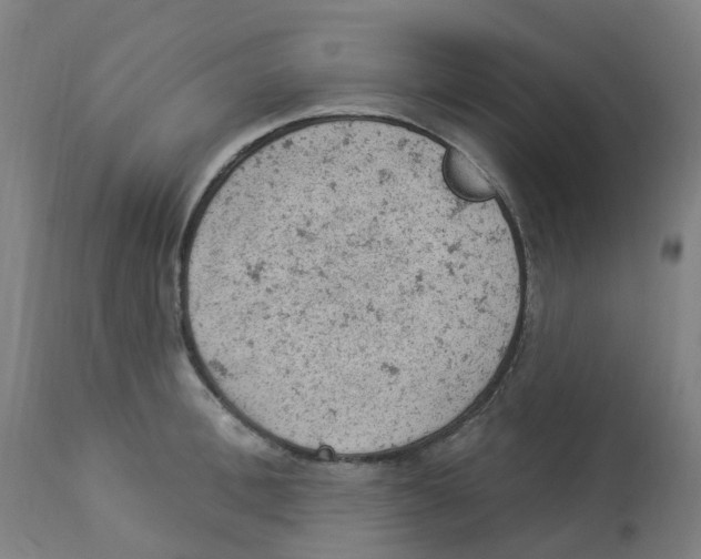 X0000112780996200909171332