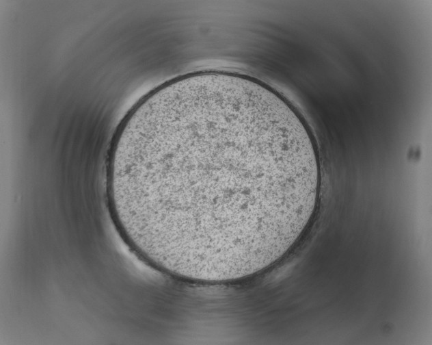 X0000112780999200909171332