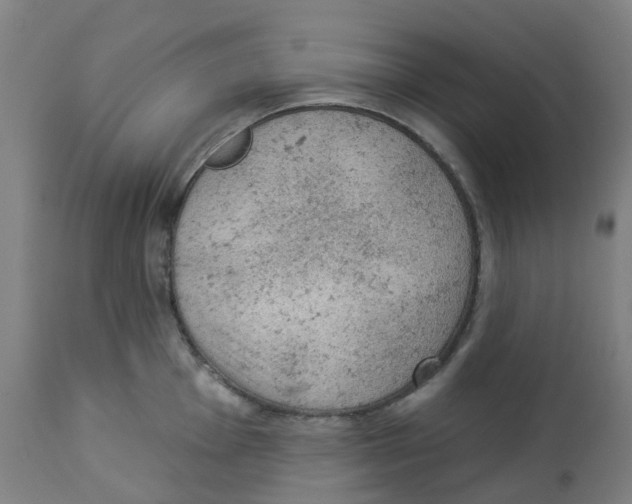 X0000112781001200909171332