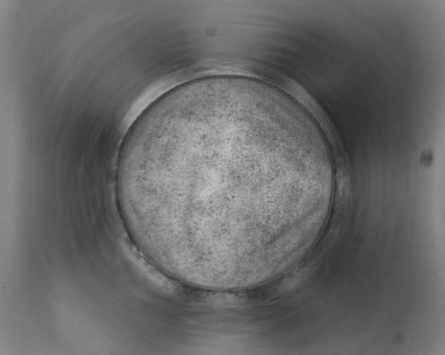 X0000112781002200909171332