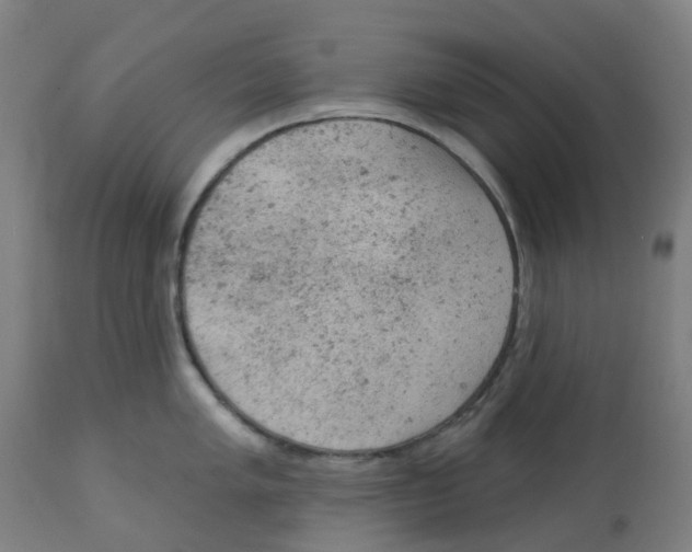 X0000112781005200909171332