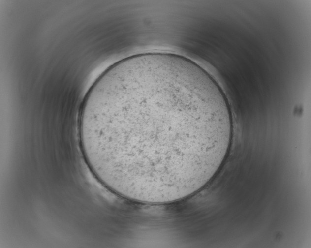 X0000112781006200909171332