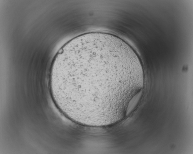 X0000112781007200909171332