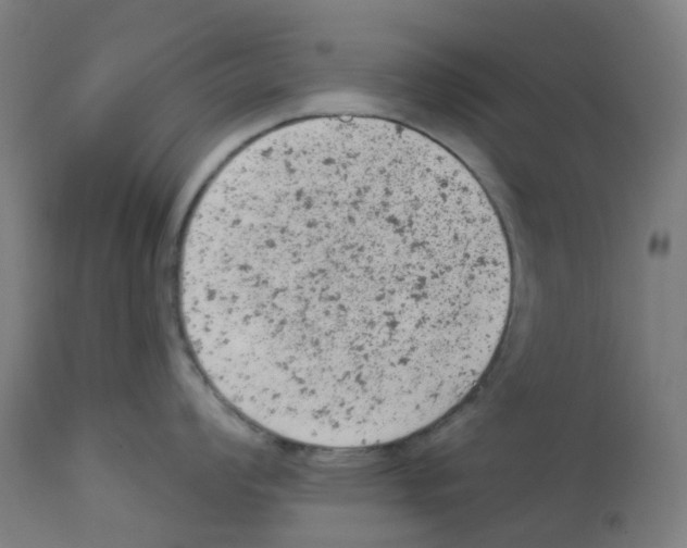 X0000112781008200909171332