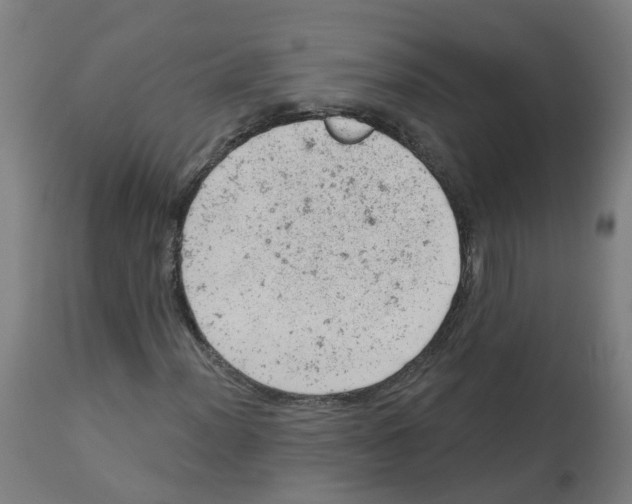 X0000112781012200909171331