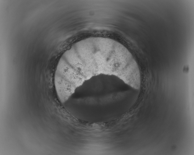 X0000112781013200909171331