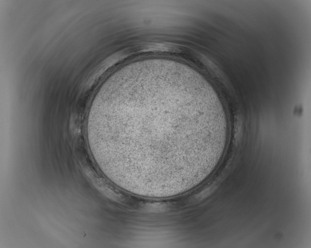 X0000112781017200909171331