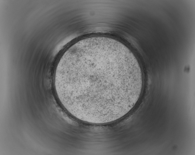 X0000112781018200909171331