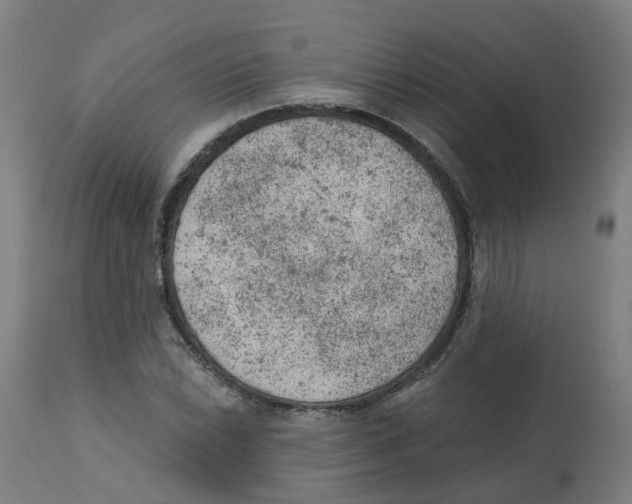 X0000112781022200909171331