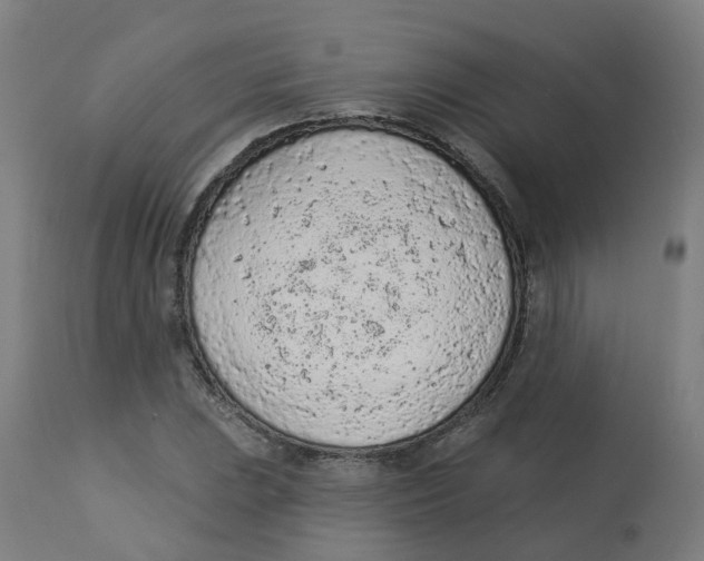 X0000112781023200909171331