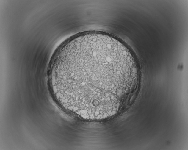 X0000112781024200909171331