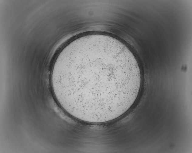 X0000112781029200909171331