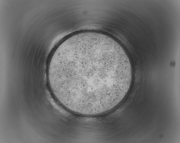 X0000112781030200909171331