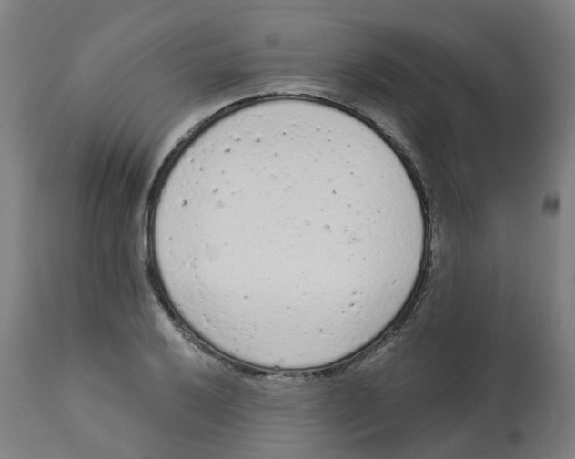 X0000112781032200909171332