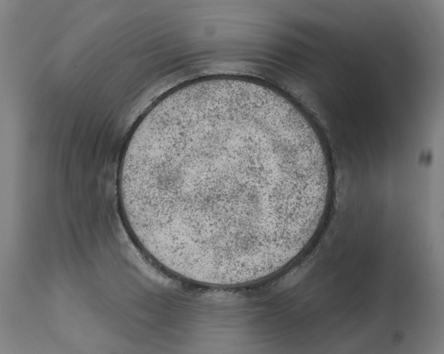 X0000112781033200909171332