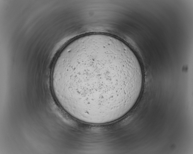 X0000112781035200909171332