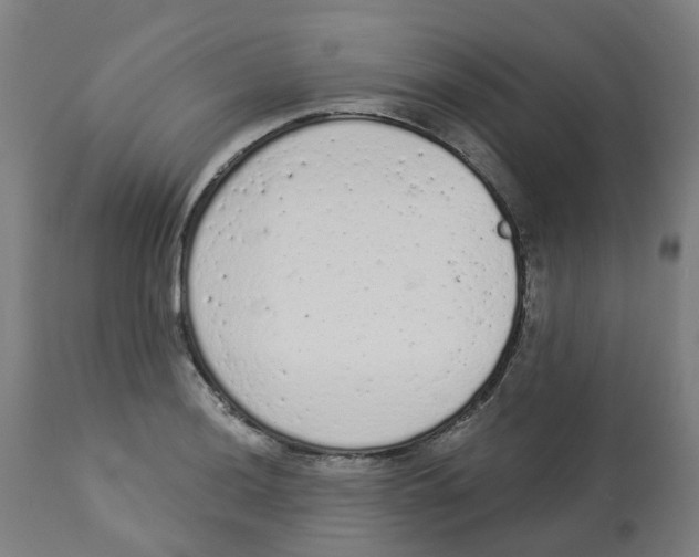 X0000112781036200909171332