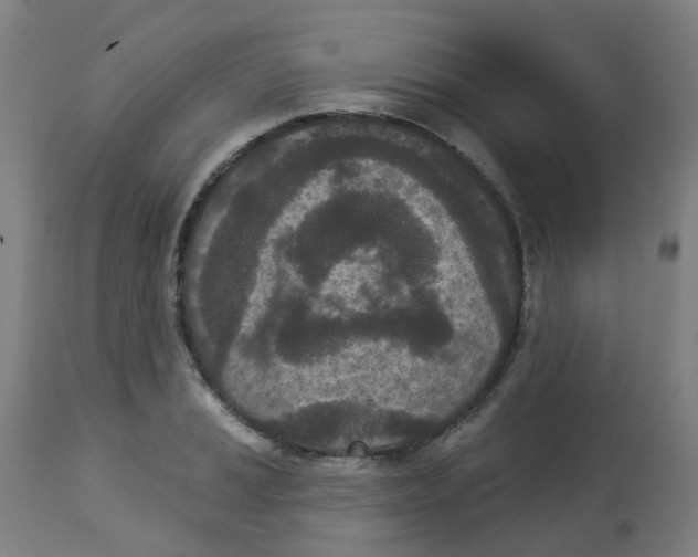 X0000112781037200909171332