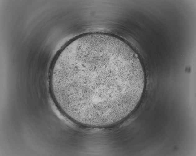 X0000112781038200909171332