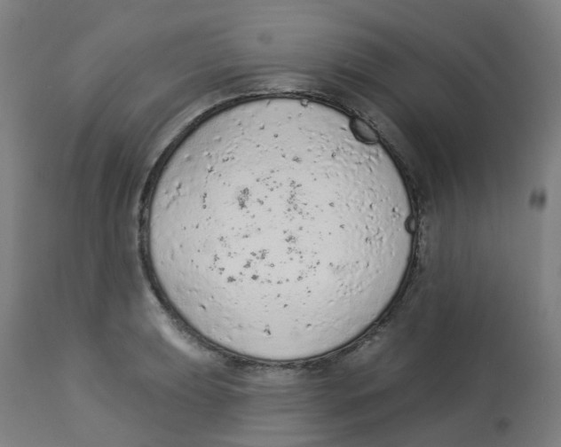 X0000112781039200909171332