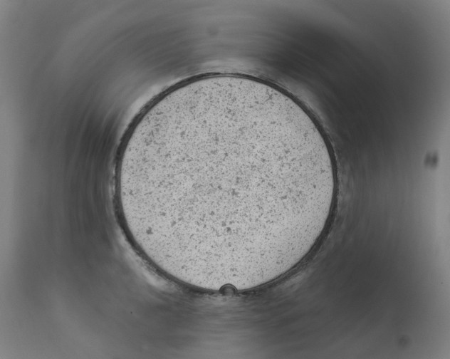 X0000112781040200909171332