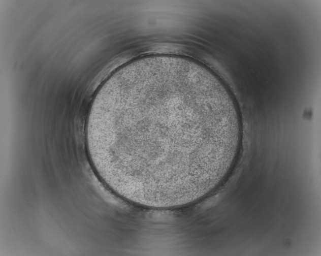 X0000112781041200909171332