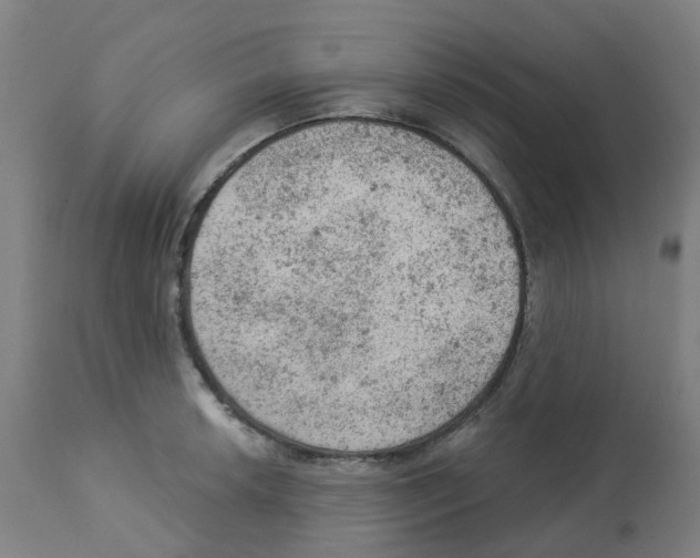 X0000112781042200909171332