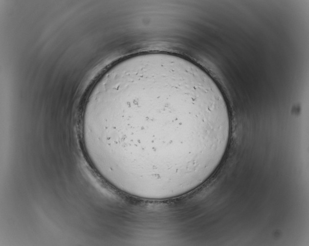 X0000112781043200909171332